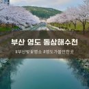 부산 영도 동삼해수천 벚꽃 명소 해수천 주차 정보