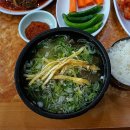 염창제일동물병원 이미지