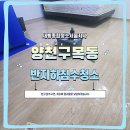 양천구 목동 반지하 침수청소 후기 – 신속 복구와 위생관리 과정을 통한 일상 회복