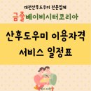 바우처 산후도우미 서비스 이용 자격 및 신청방법, 서비스 일정표