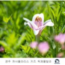 까사폴라리스 이미지