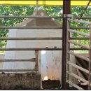 원덕목장 이미지