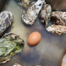 굴따러가세 | 부산 동래 굴보쌈 맛집 굴따러가세 본점 솔직 방문 후기