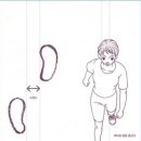 보폭 - 10224 | 보폭