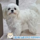 늘봄아로마테라피 이미지