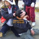 홍주인력