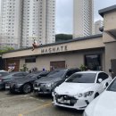 메그네이트비 이미지