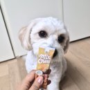 안덴탈랩 네이버블로그