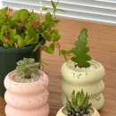 봉곡동409 이미지