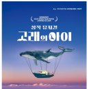 창작고래 | 제주에서 만나는 감동의 무대, 창작 뮤지컬 「고래의 아이」