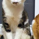 복자1길 이미지