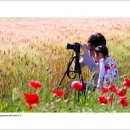 예쁜행복 이미지