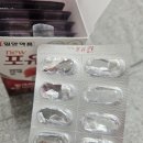 (주)더웰 | 피로회복에 좋은 간영양제 밀크시슬 포유칸 직접 섭취해본 후기