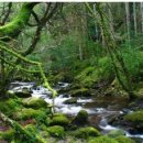 거랑풀빌라 이미지