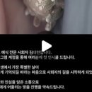 김대현 | 결혼식 전문사회자 김대현 예약 후기 (부천 엠제이컨벤션)