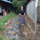 대성이용소 이미지