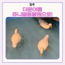 오락실올래 | 청주가볼만한곳 쥬니멀동물원 ㅣ아이와 함께 재방문한 청주실내동물원