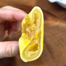 현대체육관(태권도) | 송도 현대프리미엄아울렛 송현아 대원샵 첫 방문, 결국 요시와 신기한 도감까지 (+정남미 구황작물빵 후기)