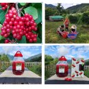 놀숲농원 이미지