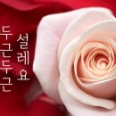 케이그린(주) 이미지