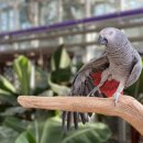 아산시생태곤충원 이미지