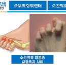 (합)경*류 이미지