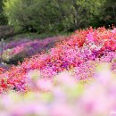 군포-산본-2003 이미지