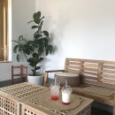 댕댕이 주전부리 이미지