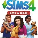 강아지PC 이미지