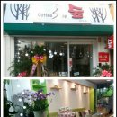 숲커피숍 이미지