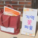 꽃피움 이미지