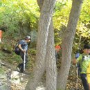 봉화 청량산: 부산 동문들과 합동 산행 이미지