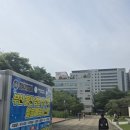 부경얼음