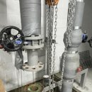 리스체크 이미지