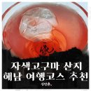 자색고구마 산지. 해남 여행 추천코스를 알려드립니다.