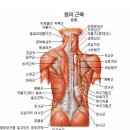 닥터포바디퍼스널트레이닝 이미지