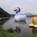 낙동강오리알 이미지