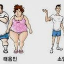 사상체질의 특징과 음식궁합 이미지