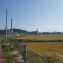 송지초등학교 이미지