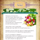 아기몽 Daum카페