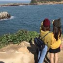 (주)아주투어 이미지