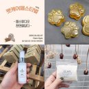 덴탈플러스 위드 에이치포 | 제10회 펫케어페스티벌 이벤트!!참가업체보기!!)(2019년4월6일~7일/일산벨라시타)