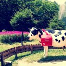 근덕목장 이미지