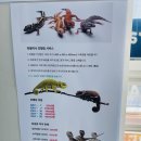파블박사 이미지