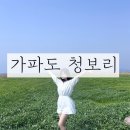 가파도 | 제주도 가파도 청보리 축제 3월 후기 (유채꽃, 배 예약 방법 총정리)