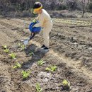 도전농장 이미지