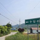 수당천 Daum카페