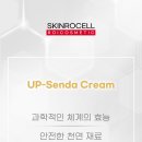 크림 스킨바디 이미지