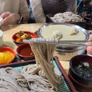 광주송정역 맛집 ㅣ 유건모밀 ㅣ 만두까지 맛있는 광산구 마른모밀 맛집 내돈내산 솔직후기