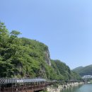 단양군시티투어 이미지